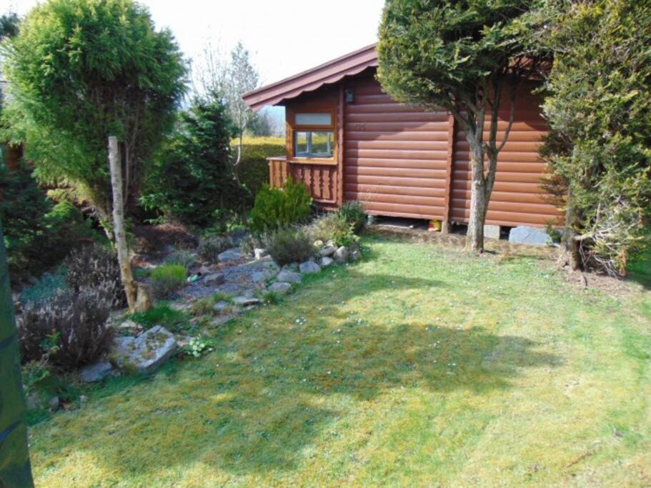 דירות Trawsfynydd Cabin מראה חיצוני תמונה