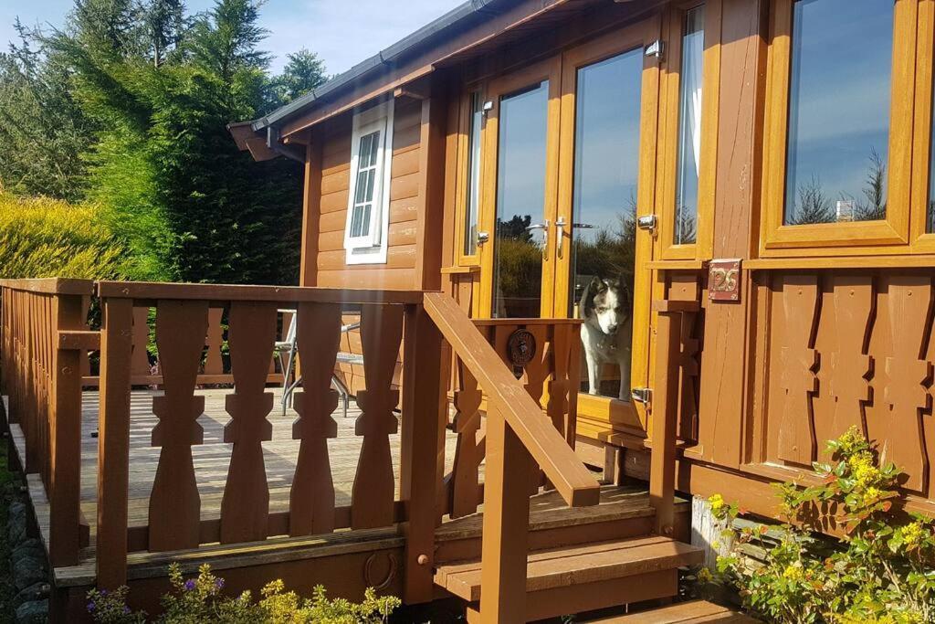 דירות Trawsfynydd Cabin מראה חיצוני תמונה